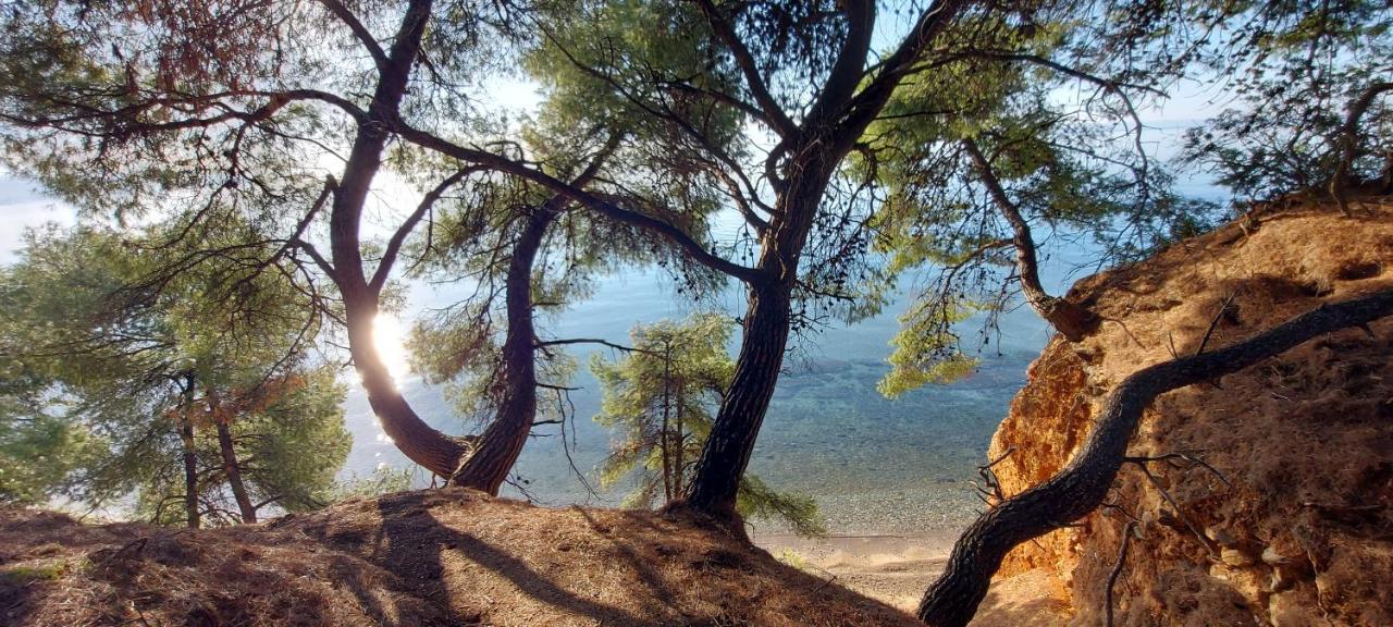 Promenada Nikiti Daire Dış mekan fotoğraf